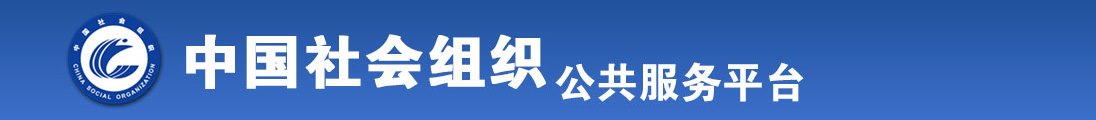 gansaobi影院全国社会组织信息查询